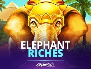 Elephant Riches icon